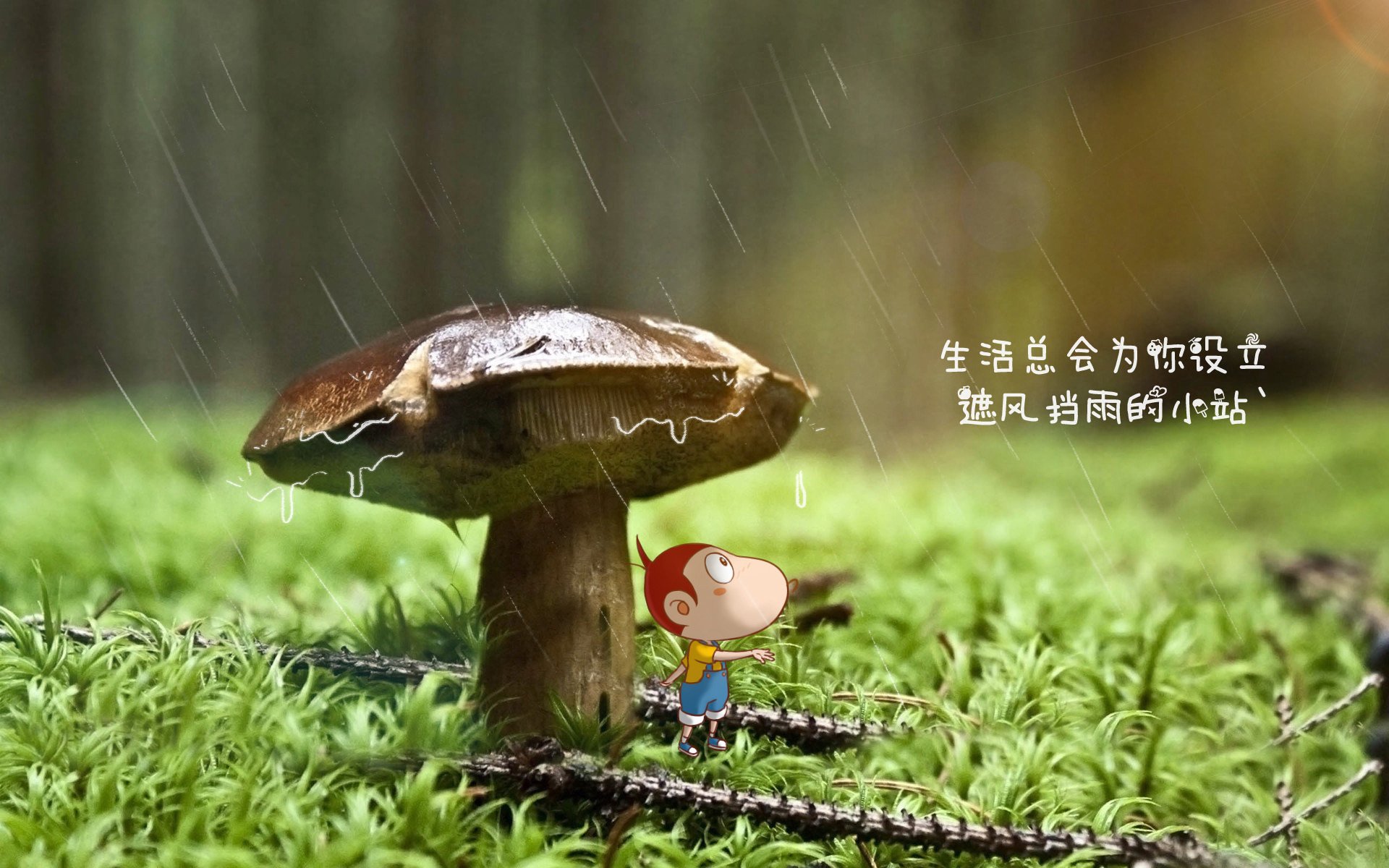 体育赛事运营中的品牌建设策略研究，体育赛事品牌价值