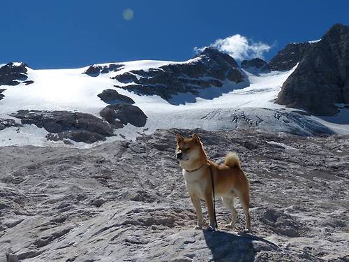 中国女篮不断尝试新阵容组合寻求突破,中国女篮不断尝试新阵容组合寻求突破的原因