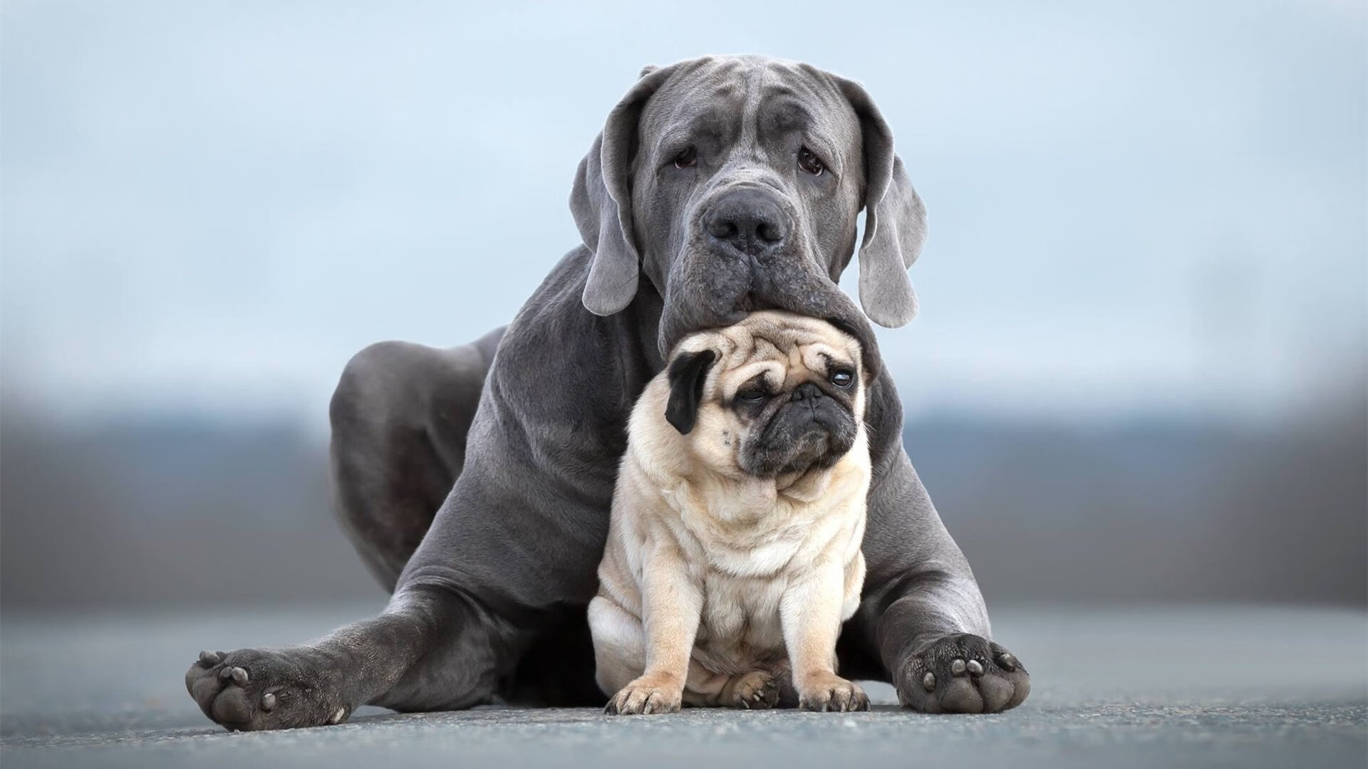 体育新闻中心参与制定行业数字化标准,体育数字化建设