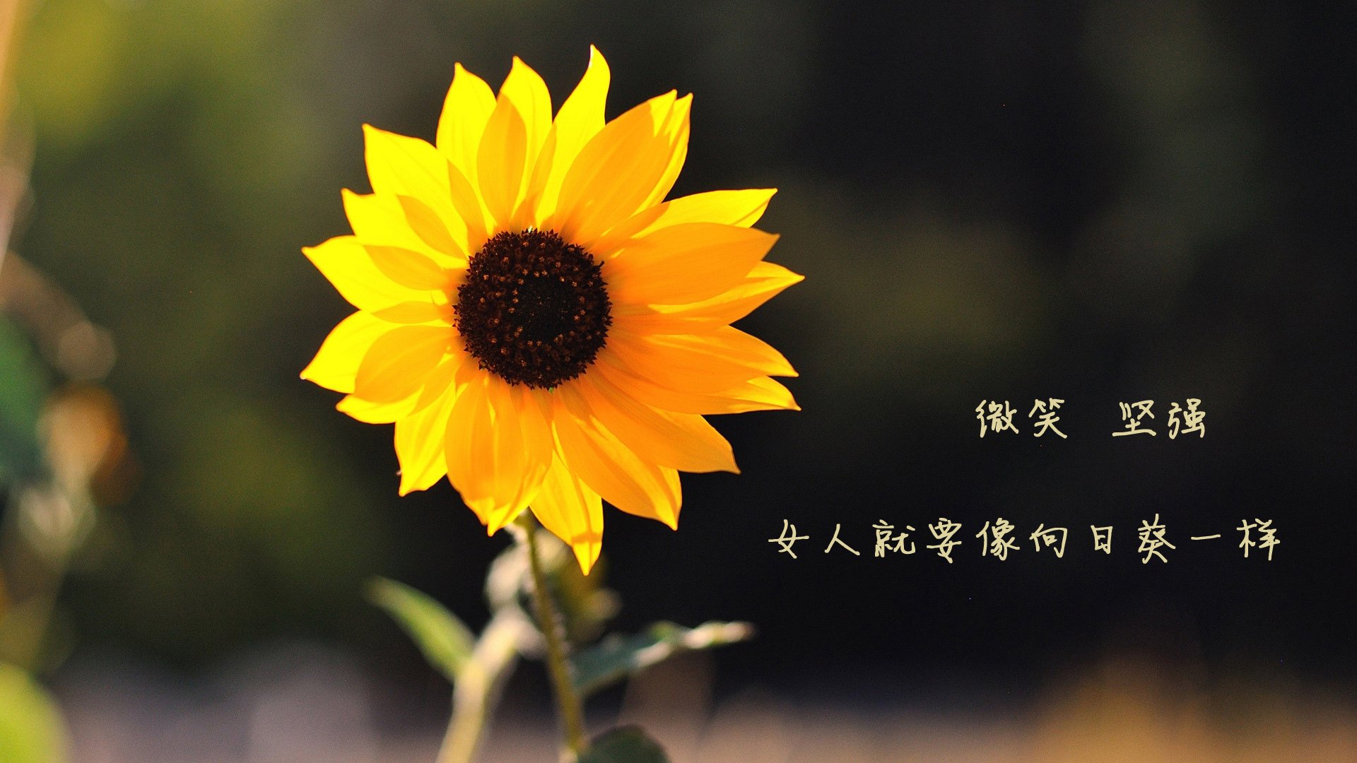 切尔西门将关键扑救保障球队胜利,切尔西一场比赛报废两门将