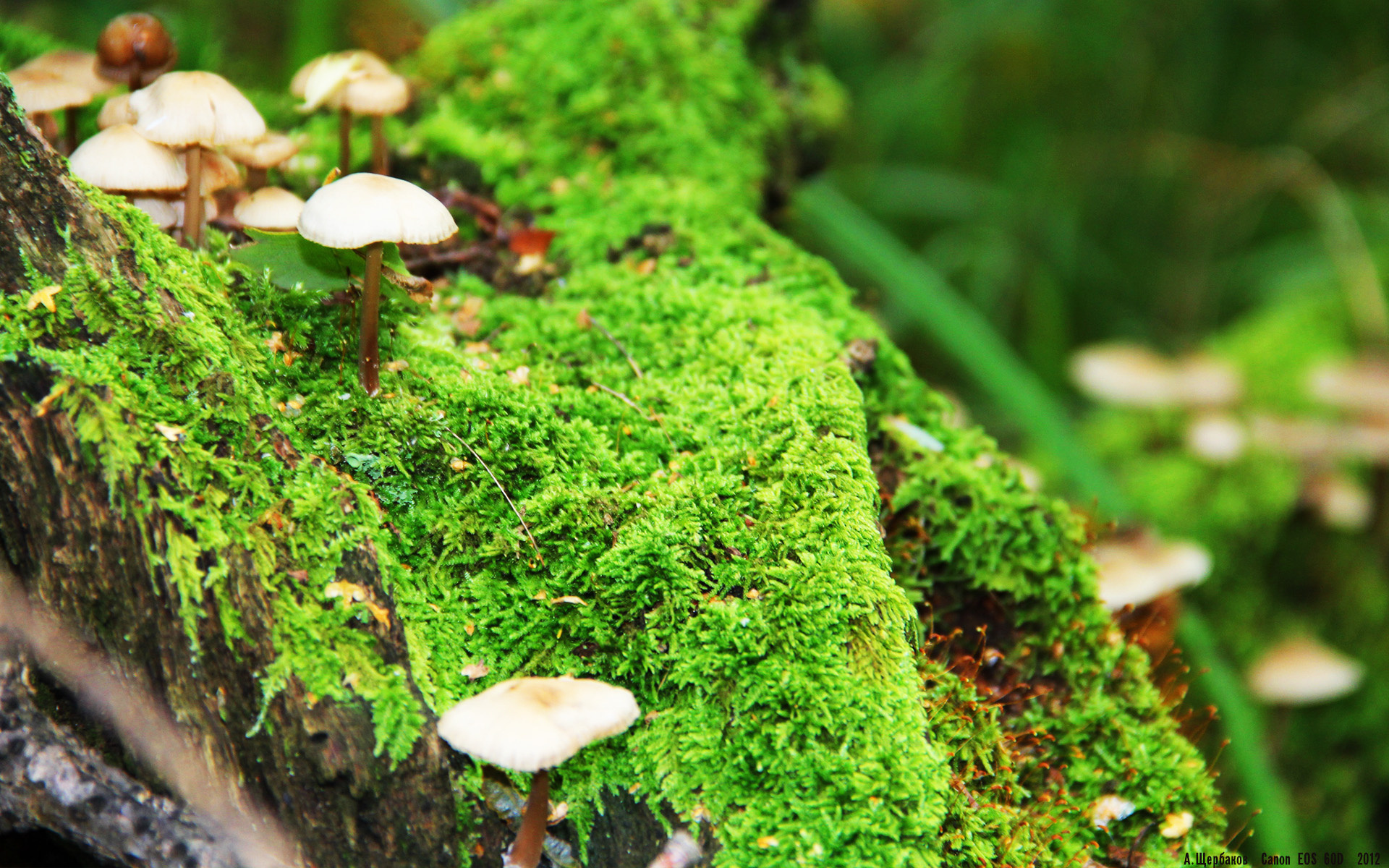 九游jiuyou-控卫如何阅读比赛节奏做出选择，控卫 sg