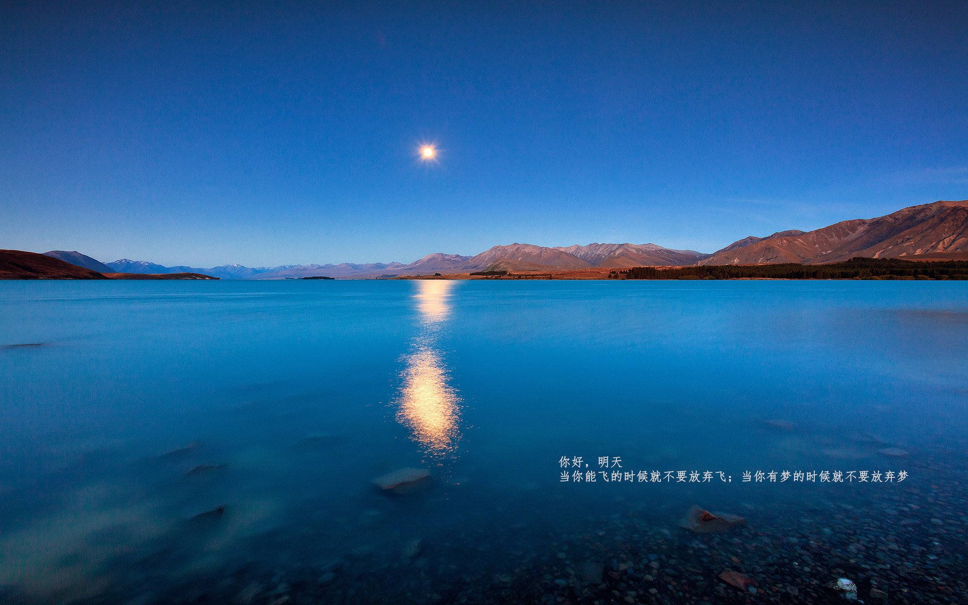 职业联赛主客场氛围营造能力薄弱,球队主客场