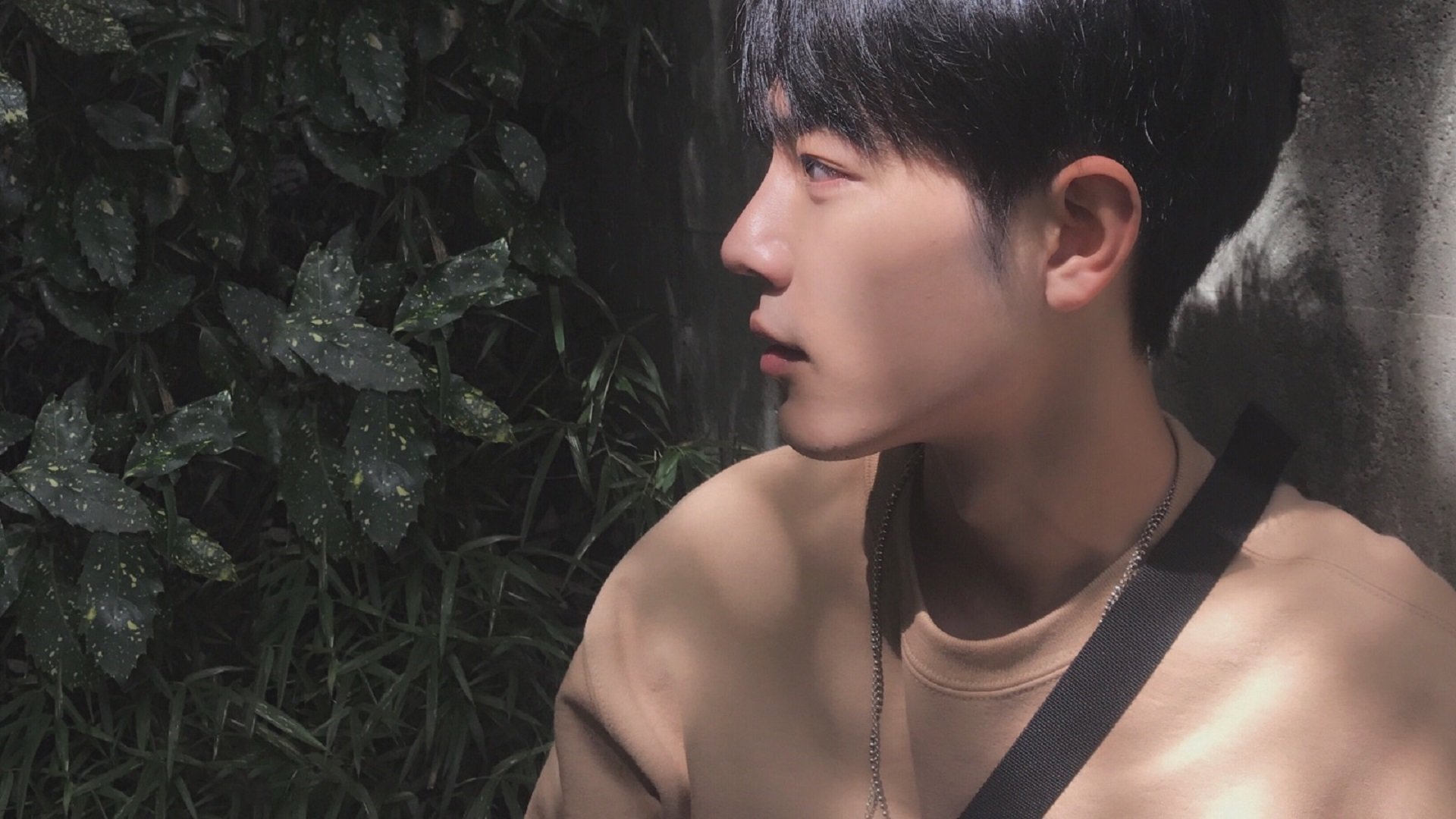 蒙彼利埃阵型压缩降低被突破概率,蒙彼利埃dhm