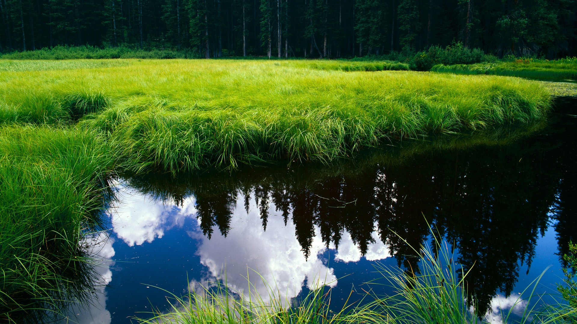 青训体系建设助推未来体育人才,青训理念