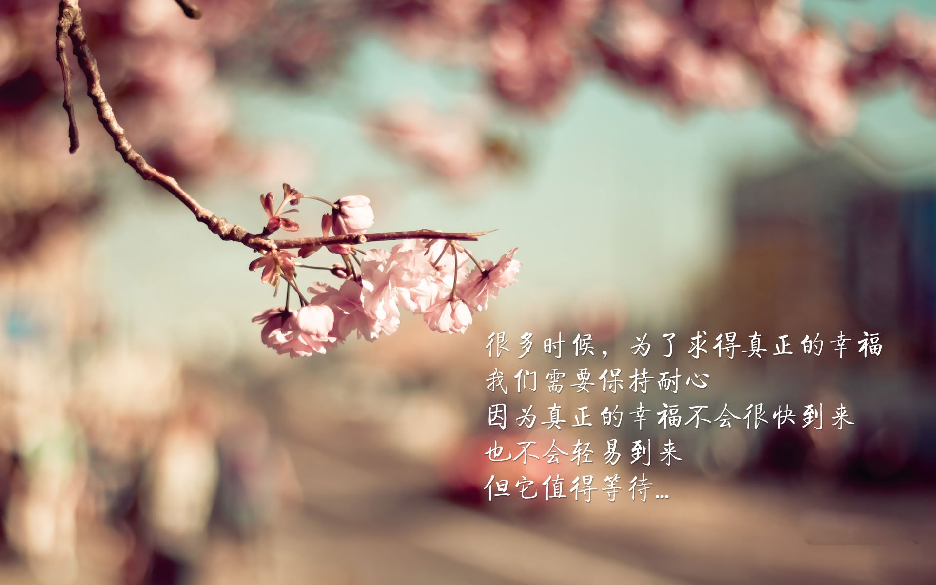 “帕布罗·马特拉:全能后卫的崛起,带领美洲狮队走向新高峰”