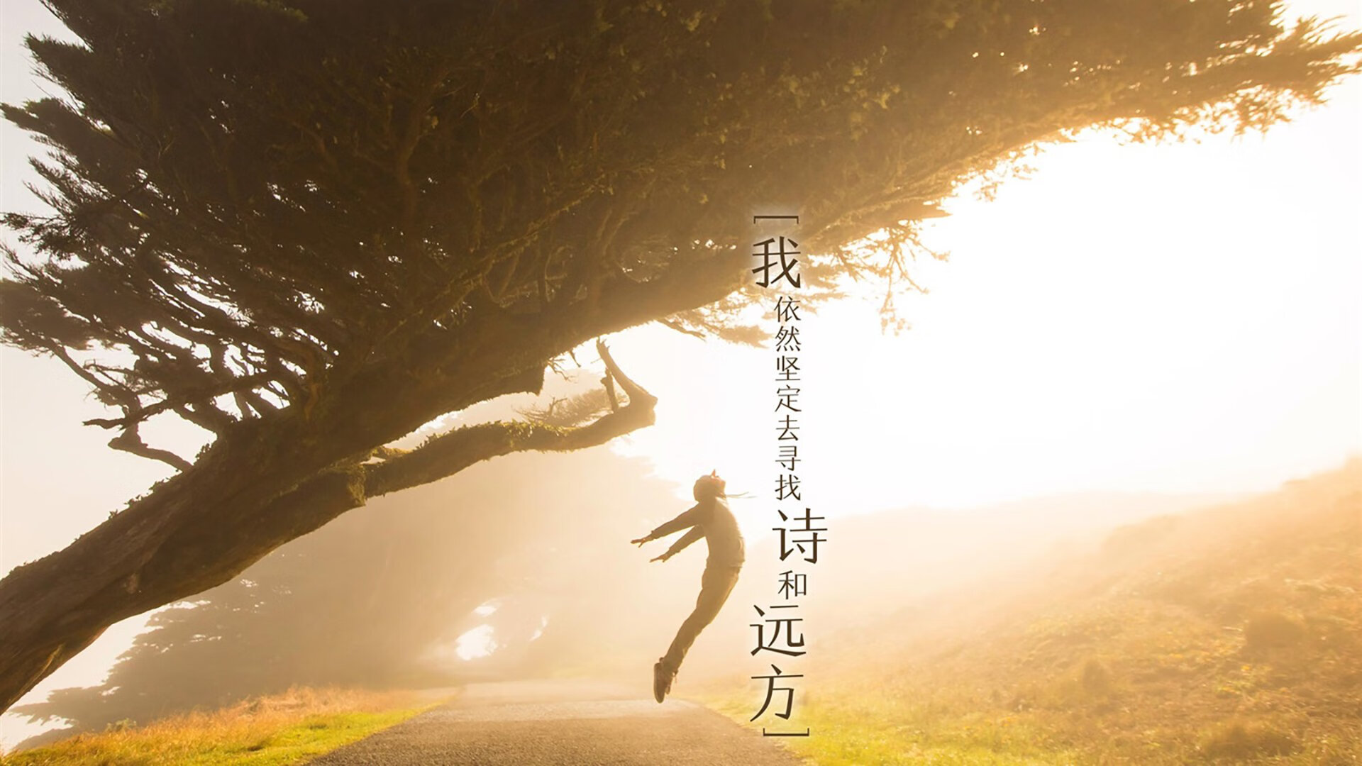 “马科斯·莫奇的坚韧拼搏与精准封堵，帮助美洲狮队屡创佳绩”