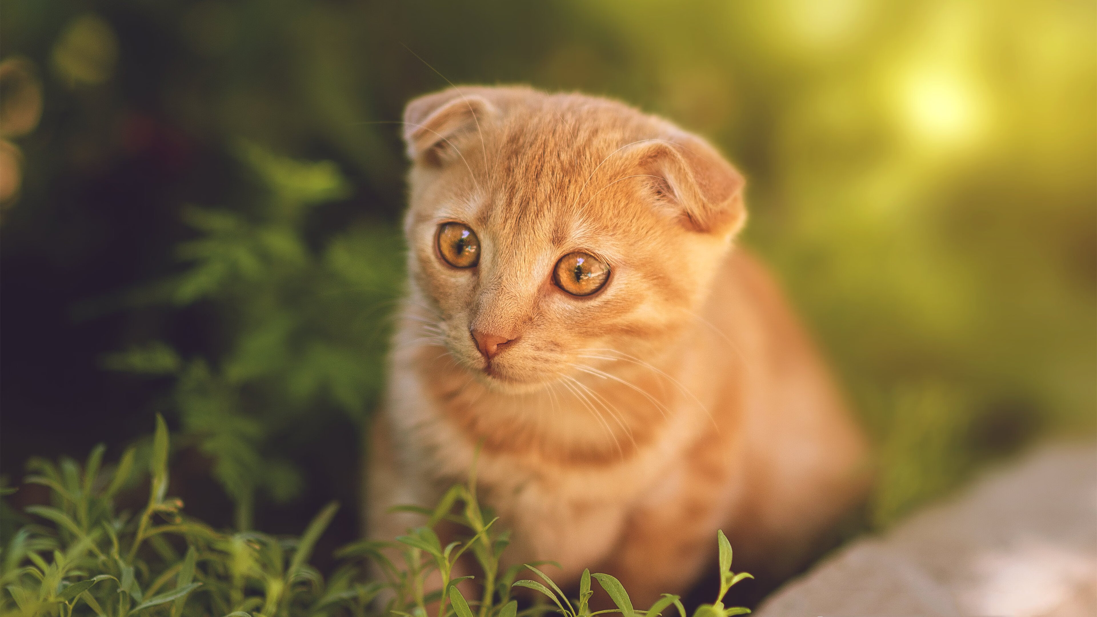 九游网页版官网入口-中小学篮球比赛设置技术评比鼓励全面发展选手，学校篮球比赛竞赛规程