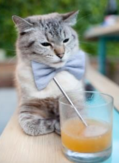 布克数据爆表太阳防守效率提升,太阳布克是什么位置