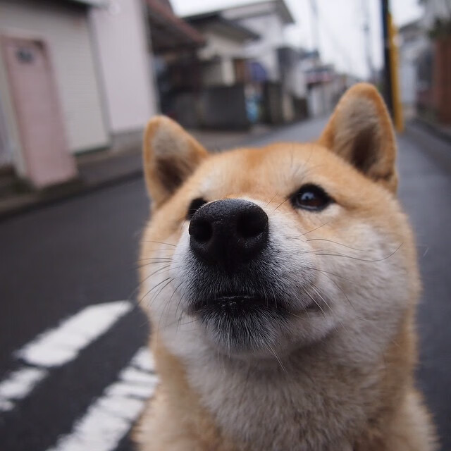 欧洲杯战术变革：令对手难以应对的创新布局，欧洲杯战术机位